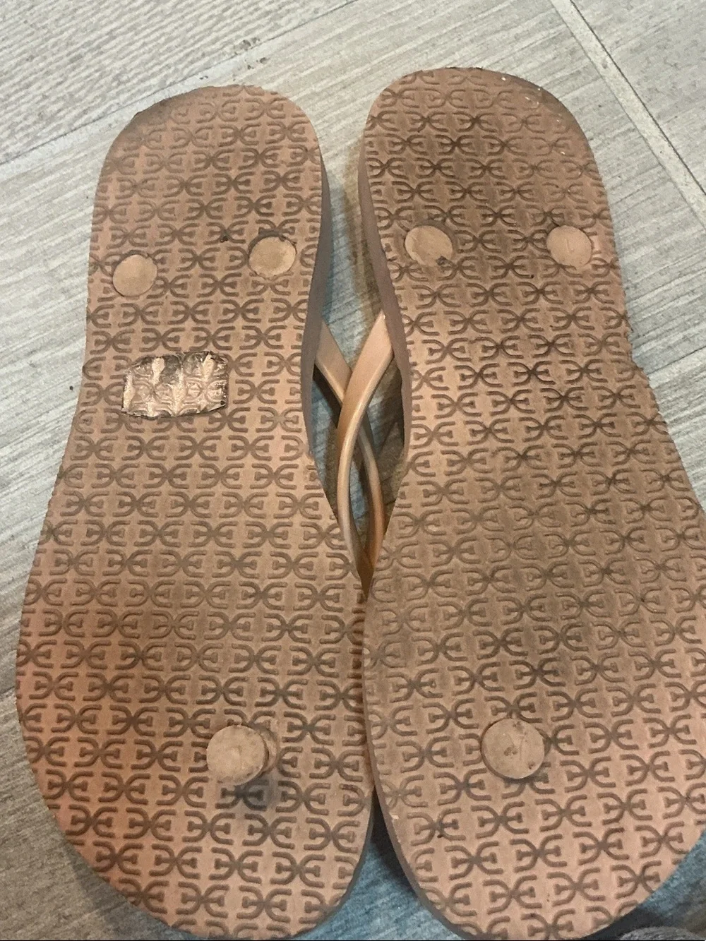 Sam Edelman stylish flip